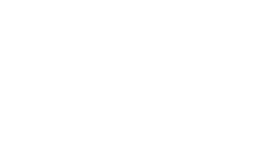 TTF Logo